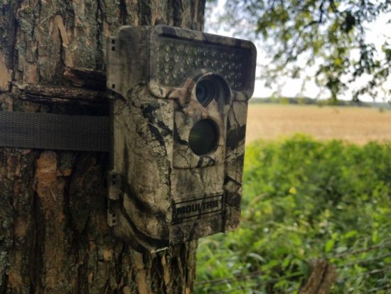 SHUTTERBUG — This is the kind of camera, here mounted on a tree, that enviromentalists use to take a count of rare animals in the wild.