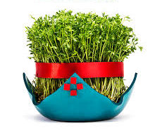 A little bowl of greens growing, called sabzeh, is often a challenge for the housewife.  They symbolize the arrival of spring and rebirth.  On the 13th day of the New Year, they will be taken outside, hopefully to a nearby brook, and tossed in the water to float off to the sea.