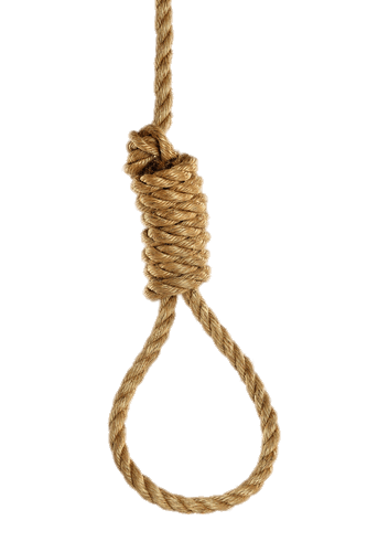 noose