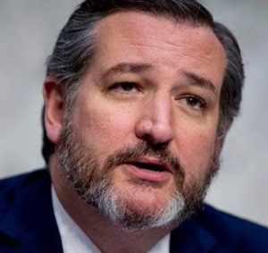 CRUZ. . . how to make these senators happy