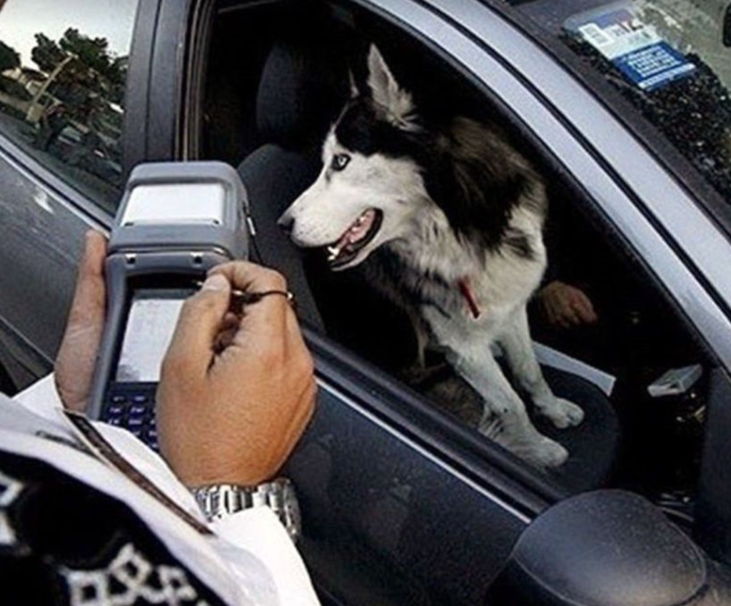 IN TROUBLE — A Tehran cop issues a ticket to a driver for carrying a dog in his vehicle.