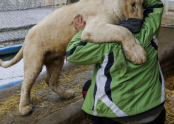 Think Tank says Iran Could have A-Bomb in Under two Months