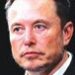 Musk Likes Iranian Immigrants