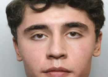 ‘Dangerous Fool’ British-Iranian Convicted of Spying for Iran