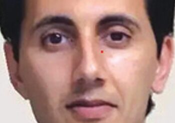 Iranian-American Admits to Being Spy